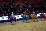 Quadrille - 00585